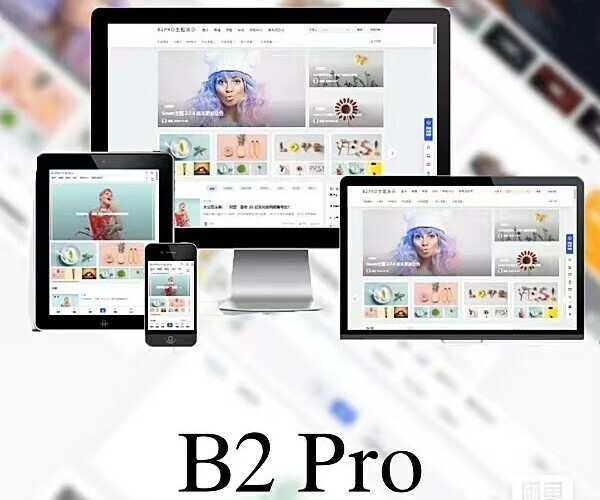 B2Pro_v5.2.0(开心版)-寻宝网