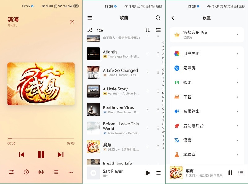 椒盐音乐V10.8.2(Salt Player)-寻宝网