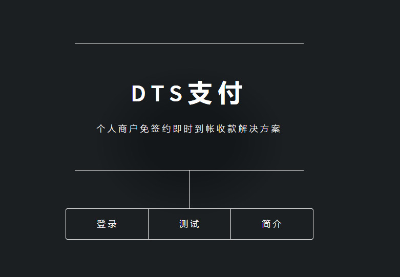DTS码支付系统(附送APP)